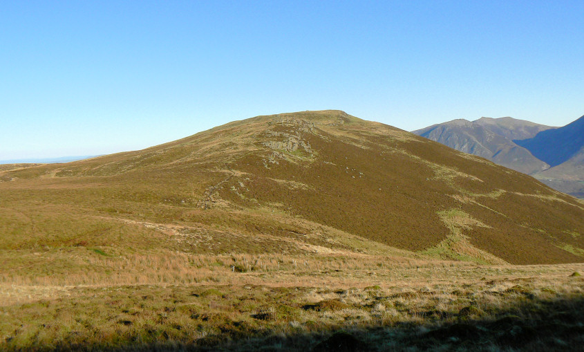 Carling Knott Carling Knott